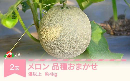 【先行予約】 村山市産 温室メロン 品種おまかせ 令和7年産 2025年産  2玉 優 約4kg 果物 ja-meoxx4 2270595 - 山形県村山市