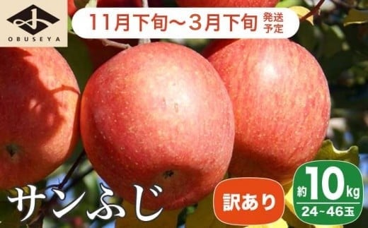 【訳あり】 サンふじ 約10kg 24～46玉 ［小布施屋］ りんご 林檎 リンゴ 不揃い 規格外 果物 フルーツ 生産者応援 支援 家庭用 令和7年産 【2025年11月下旬～2026年3月下旬発送】 ［B-6］ 216433 - 長野県小布施町