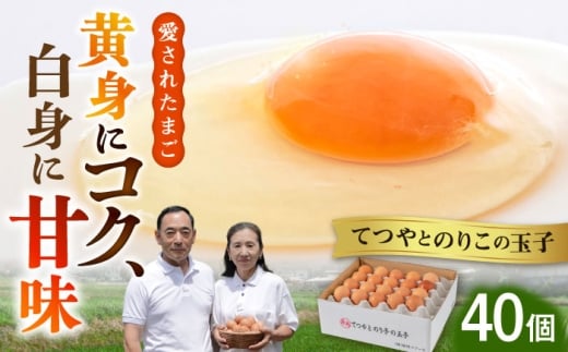 てつやとのりこの玉子 【 40個 】 糸島市 / 板垣ファーム 卵 たまご 鶏卵 [AWD019]