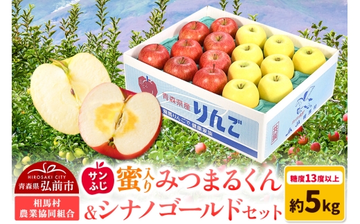 【25年11月～発送】りんご 蜜入り サンふじ（みつまるくん）＆シナノゴールド セット 約 5kg【レビューキャンペーン】