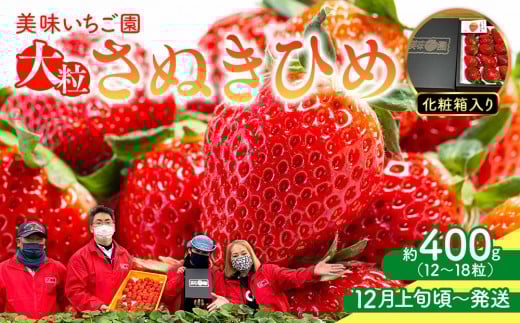 【12月上旬頃～発送】美味いちご園「さぬきひめ」化粧箱入り 400g 595962 - 香川県さぬき市