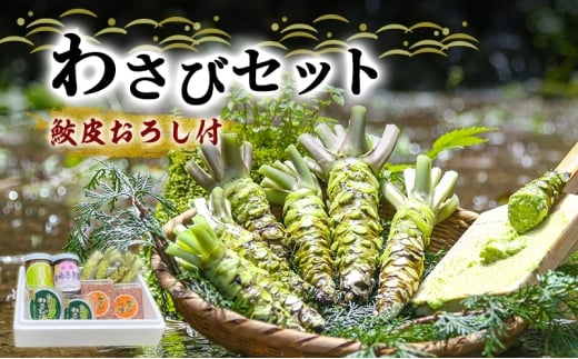 わさび セット 鮫皮おろし付 生わさび 4本 わさび漬け 2個 わさび味噌 2個 天城の春 三杯酢漬け1瓶 むらさき漬け 1瓶 詰め合わせ 伊豆 伊豆わさび食品直送 ワサビ 山葵 鮫皮おろし 加工品 薬味 調味料 冷蔵 冷蔵配送 静岡 静岡県 河津 河津町 [№5227-0353]