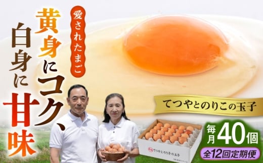 【全12回定期便】てつやとのりこの玉子 【 40個 】 糸島市 / 板垣ファーム 卵 たまご 鶏卵 [AWD022]