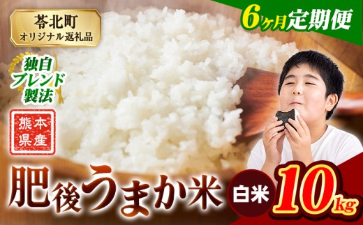 【6か月定期便】米 白米 熊本県産 肥後うまか米 10kg 精米 こめ  コメ お米 おこめ ブレンド米《申込月の翌月から出荷開始》熊本県産  コメ お米 おこめ 2270617 - 熊本県苓北町