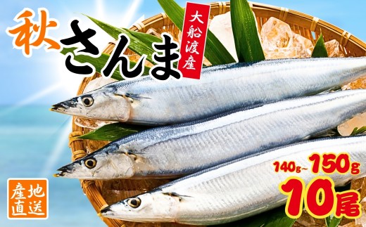 鮮さんま 10本 (1本あたり140～150g) 秋刀魚 大船渡 生さんま さんま 鮮魚 大船渡 岩手 