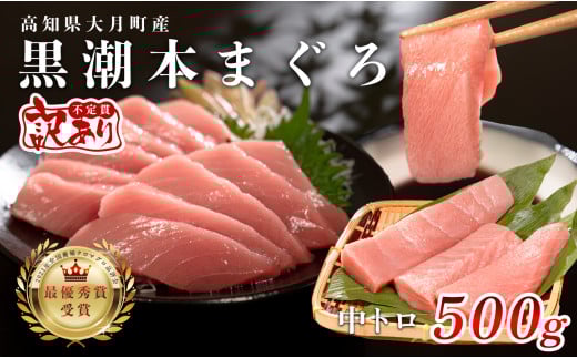 【訳あり】本マグロ 中トロ500g 不定貫 養殖マグロ 高知県産 指定日発送可能