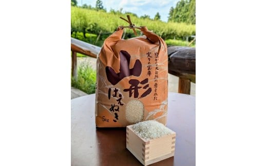 【定期便】令和７年産　はえぬき（精米）５ｋｇ×６か月連続お届け　0011-2510 2268566 - 山形県上山市
