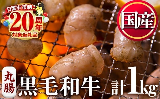 No.1001-03 黒毛和牛丸腸(計1kg)【カミチク】