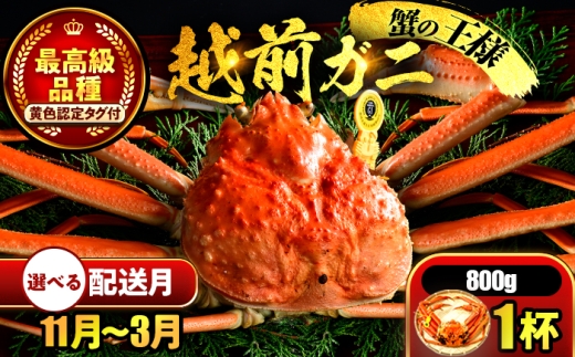 【年内配送】【先行予約】 【1月配送】 越前がに 800ｇ×1杯 小浜市 / まるほ商店 【配送不可地域：北海道・沖縄・離島】[BFCS024-1] 2220398 - 福井県小浜市