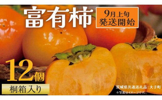 【桐箱入り】 富有柿 12個【2025年9月上旬発送開始】(茨城県共通返礼品：大子町) 柿 かき カキ 果物 フルーツ 旬 季節限定 期間限定 贈答用 ギフト 贈り物