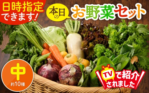 日時指定OK!本日のお野菜セット [中サイズ/約10種] 2〜3人用 新鮮 産地直送 野菜詰め合わせ 有機栽培 野菜 果物 野菜セット 野菜定期便 送料無料 [オーガニックのまち 宮崎県綾町]