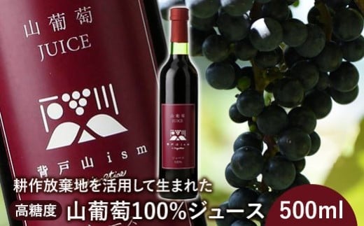 ＜耕作放棄地を活用して生まれた＞高糖度山葡萄100%ジュース 500ml【0901001】 696388 - 福島県石川町