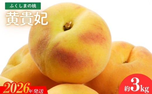 No.2688福島のもも 黄貴妃　約3kg【2026年発送　先行予約】 935740 - 福島県福島市