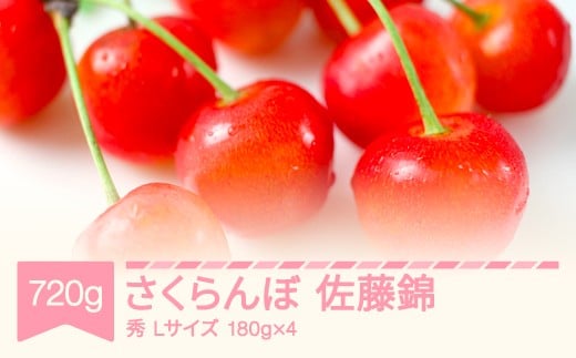 【先行予約】 2026年産 令和8年産 さくらんぼ 佐藤錦 秀 Lサイズ 720g (180g×4) 山形県産 フルーツ 果物 くだもの サクランボ ※沖縄・離島への配送不可  sb-snslx800 1929665 - 山形県村山市
