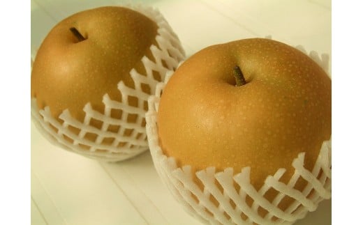 稲田ペアファームの豊華梨（ゆたかなし）（2）【6～9玉入り】【フルーツ 果物 くだもの 食品 人気 おすすめ 送料無料】