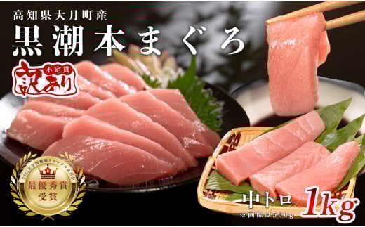 【訳あり】本マグロ 中トロ1kg 不定貫 養殖マグロ 高知県産 指定日発送可能