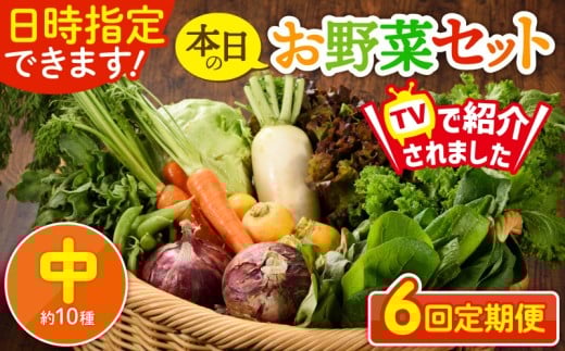 【6回定期便】日時指定OK！本日のお野菜セット 〈中サイズ/約10種〉 2～3人用 新鮮 産地直送 野菜詰め合わせ 有機栽培 野菜 果物 野菜セット 野菜定期便 送料無料 【オーガニックのまち 宮崎県綾町】