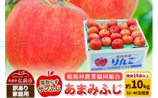 【26年3月発送】りんご 糖度14度以上【訳あり】家庭用 あまみふじ（葉取らずサンふじ）約10kg（32～46玉程度）【レビューキャンペーン】