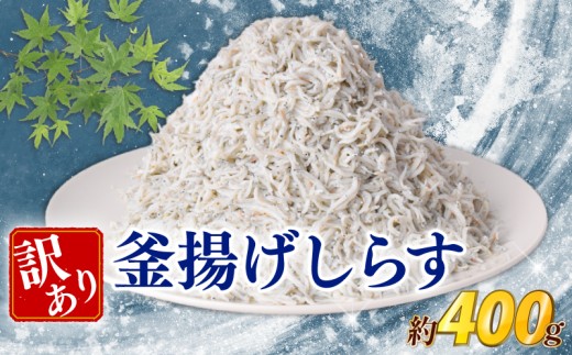 訳あり 釜揚げしらす 約400g しらす 冷凍 大容量 惣菜 便利 弁当 晩ごはん 白州 白子魚介類 魚介類 海鮮 わけあり 小魚 魚 鮮魚 グルメ 人気 海の幸 ふりかけ ちりめん しらすご飯 国産 じゃこ しらす丼 人気 塩分控えめ 減塩 安芸市 高知県