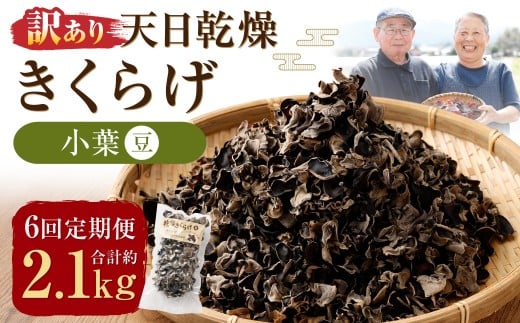 【6ヶ月定期便】 【訳あり】 天日乾燥 きくらげ 「小葉 （豆）」 50g×7パック 計350g （合計約2.1kg） 6回定期便 訳アリ 理由あり わけあり キクラゲ 木耳 乾燥きくらげ 乾燥キクラゲ 乾燥木耳 肉厚 定期便 九州 熊本県 人吉市 常温