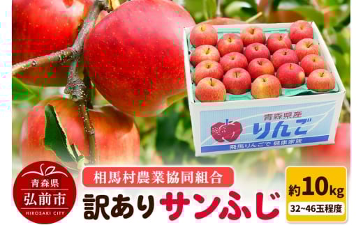 【26年3月発送】りんご【訳あり】サンふじ 約10kg（32～46玉程度）【レビューキャンペーン】