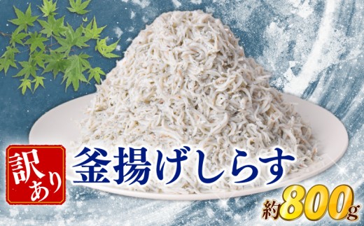 訳あり 釜揚げしらす 約800g しらす 冷凍 大容量 惣菜 便利 弁当 晩ごはん 白州 白子魚介類 魚介類 海鮮 わけあり 小魚 魚 鮮魚 グルメ 人気 海の幸 ふりかけ ちりめん しらすご飯 国産 じゃこ しらす丼 人気 塩分控えめ 減塩 安芸市 高知県