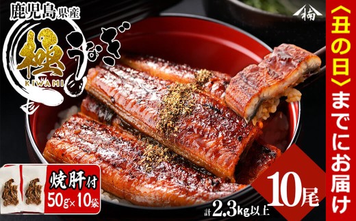 【丑の日までに配送】楠田の極うなぎ蒲焼き 230g以上×10尾(計2.3kg以上) 焼肝10袋付き wa24-004-us