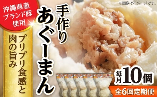 【全6回定期便】あぐーまん 10個入り (2個入り×5P) 肉まん 豚まん 点心 お取り寄せ 冷凍 沖縄市 / 豚々茶舗 [BCBL021]