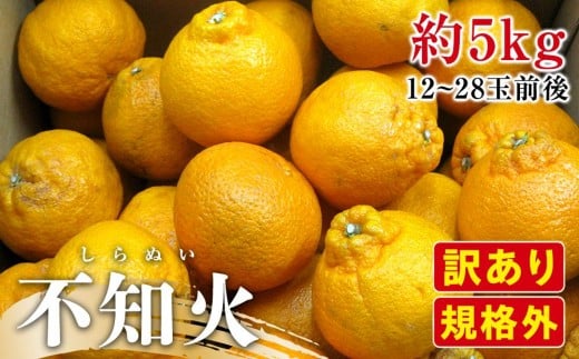 【2月下旬頃～発送】訳あり 規格外 不知火 (しらぬひ) 約5kg 597698 - 香川県さぬき市