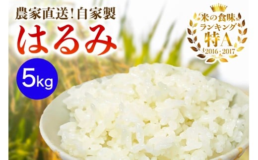 [2025年10月中旬頃から発送] 米 5kg 農家直送！自家製 はるみ ｜先行予約 お米 おこめ コメ 白米 神奈川 伊勢原 ブランド米 [0523] 2268428 - 神奈川県伊勢原市