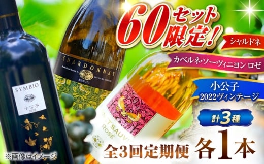 【全3回定期便】【2025年10月より発送】【数量限定・先着60セット】幻の2022ヴィンテージ「小公子」含む 豪華3種 飲み比べ カベルネロゼ・シャルドネ・小公子 750ml×3種 島根県雲南市/有限会社奥出雲葡萄園 [AICS091]