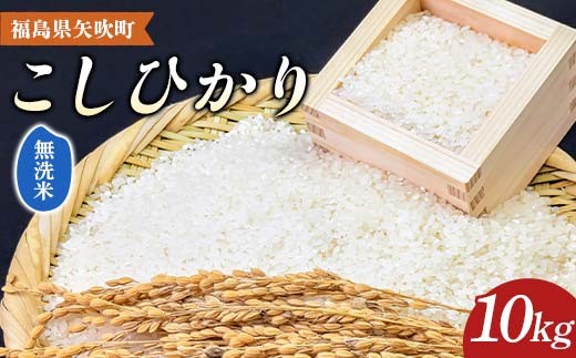 【先行予約】 令和7年産〈無洗米〉 福島県矢吹町の美味しいこしひかり 10kg（5kg×2袋） コシヒカリ コメ 米 F6U-285
