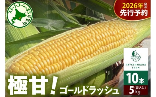 【先行受付】【2026年7月下旬～8月上旬まで配送予定】北海道十勝芽室町 極甘とうもろこし ゴールドラッシュ 10本  me028-001c-26 685397 - 北海道芽室町