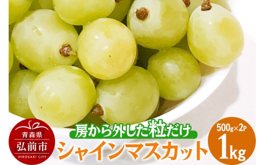 【25年9月～発送】 【訳あり】 房から外した粒だけシャインマスカット1kg（500g×2パック）【先行受付】 ぶどう フルーツ 果物 ブドウ 葡萄 グレープ くだもの 産地直送【レビューキャンペーン】