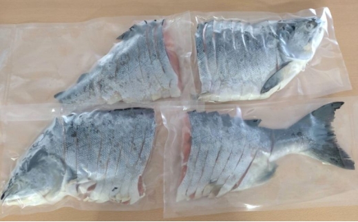 北海道産 秋鮭 山漬け 姿切身  約2.6kg （650g×4パック） [ 鮭 さけ 焼き魚 魚 魚介類 サケ ] [№5863-1381]