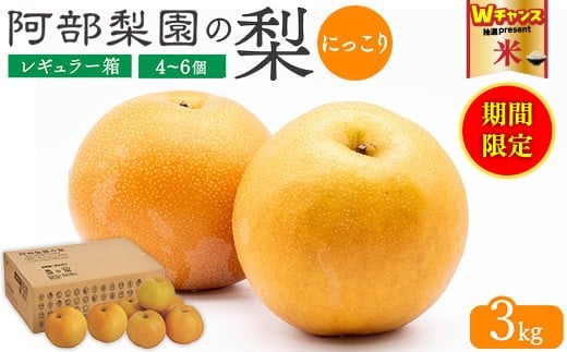＼9末まで 寄附額改定／阿部梨園の梨（3kg　レギュラー箱）にっこり　※離島への配送不可　※2025年10月上旬～10月下旬頃に順次発送予定