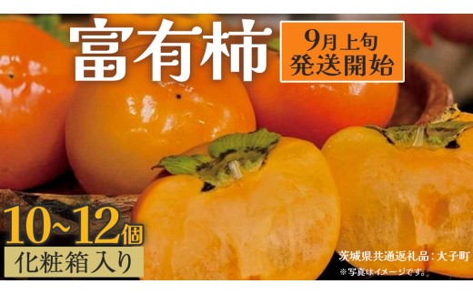 【化粧箱入り】富有柿10～12個【2025年9月上旬発送開始】(茨城県共通返礼品：大子町) 柿 かき カキ 果物 フルーツ 旬 季節限定 期間限定 贈答用 ギフト 贈り物