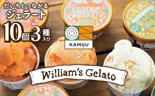 【3種のフレーバーを食べ比べ!!】だいちとつながるジェラート10個セット 映えるデザインが可愛いと話題に!!  マドンナキャロット 地元野菜 甘い アイス スイーツ デザート 洋菓子 可愛い 詰め合わせ キャロットミルク フルーツサラダ ピーナッツミルク 自慢 冷たい にんじん 人参 落花生 ピーナッツ 農家 神重農産 H105-171