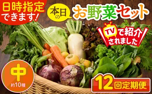 【12回定期便】日時指定OK！本日のお野菜セット 〈中サイズ/約10種〉 2～3人用 新鮮 産地直送 野菜詰め合わせ 有機栽培 野菜 果物 野菜セット 野菜定期便 送料無料 【オーガニックのまち 宮崎県綾町】