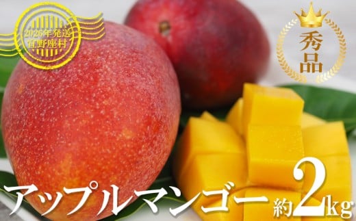 【2026年発送】マンゴーの拠点産地「宜野座村」の秀品アップルマンゴー（約2kg） アーウィン 果物 甘い 夏 濃厚 ギフト Mango ランキング 完熟 お気に入り 美味しい 人気 おすすめ 地元 沖縄県 先行予約 南国フルーツ デザート 産地直送 送料無料 808374 - 沖縄県宜野座村