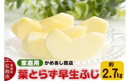 【25年10月発送】りんご 葉とらず 早生ふじ【家庭用】約2.7kg ゴールド農園【レビューキャンペーン】