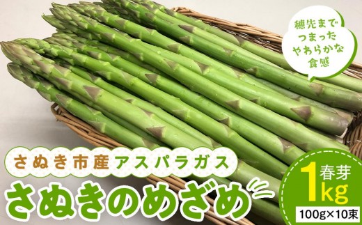 【3月中旬頃～発送】さぬき市産 アスパラガス さぬきのめざめ 春芽 1kg 597695 - 香川県さぬき市