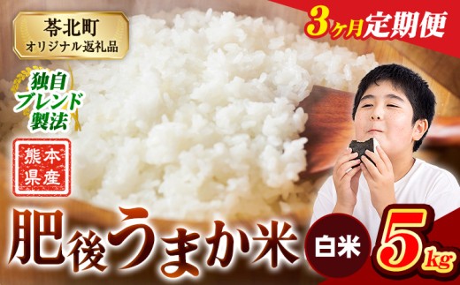 【3か月定期便】米  熊本県産 肥後うまか米 5kg 白米 精米 こめ コメ お米 おこめ ブレンド米《申込月の翌月から出荷開始》熊本県産 コメ お米 おこめ 2270624 - 熊本県苓北町
