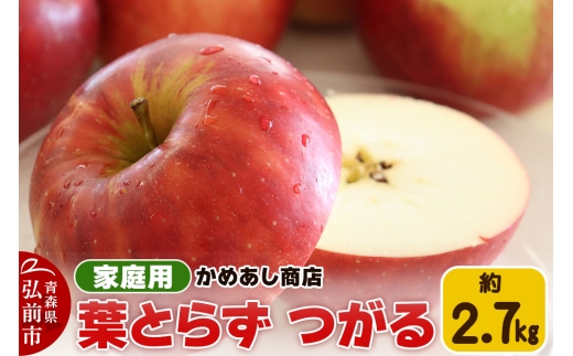 【25年9月発送】りんご 葉とらず つがる【家庭用】約2.7kg ゴールド農園【レビューキャンペーン】