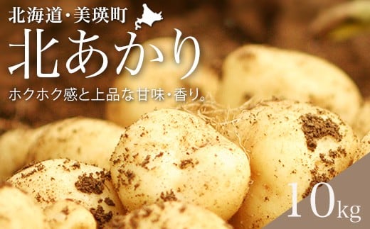 【先行予約】じゃがいも（北あかり）10kg <令和7年産 >黒木農場  | 人気 おすすめ ランキング いも 芋 イモ じゃがいも ジャガイモ 北あかり きたあかり キタアカリ 北海道 野菜[010-208]