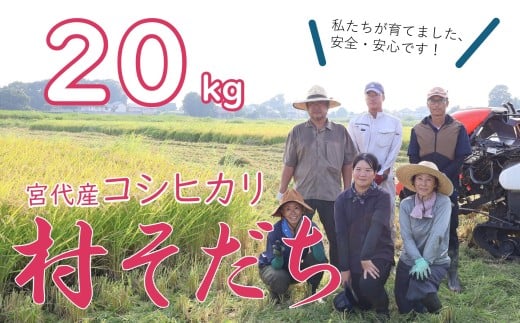 【宮代町】新しい村で育てた  コシヒカリ「村そだち」令和７年産新米 ２０ｋｇ