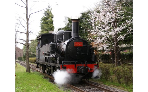 日本工業大学の鉄道車両とことん撮影会＆学生製作ロボット「ニトロン」～ふるさと納税だけの特別撮影会！～