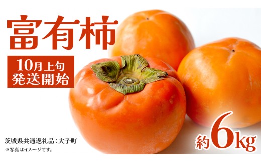 富有柿 約6kg 【2025年10月上旬発送開始】(茨城県共通返礼品：大子町) 柿 カキ かき 果物 フルーツ 旬 季節限定 期間限定