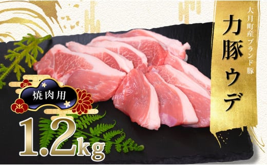 【高知県 大月町産ブランド豚】力豚ウデ焼き肉用1.2kg 2262362 - 高知県大月町