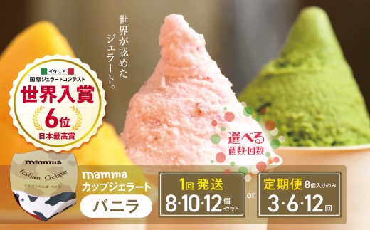 【定期便12回】mammaカップジェラート バニラ 8個セット (毎月お届け） | アイス クリーム ジェラート お菓子 おやつ バニラ ヘルシー アイスクリーム 奈良県 平群町